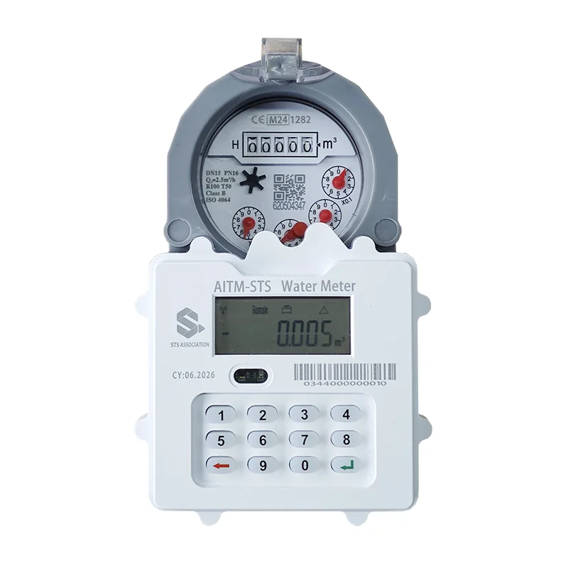 STS Token Prepaid Keypad Vesimittari